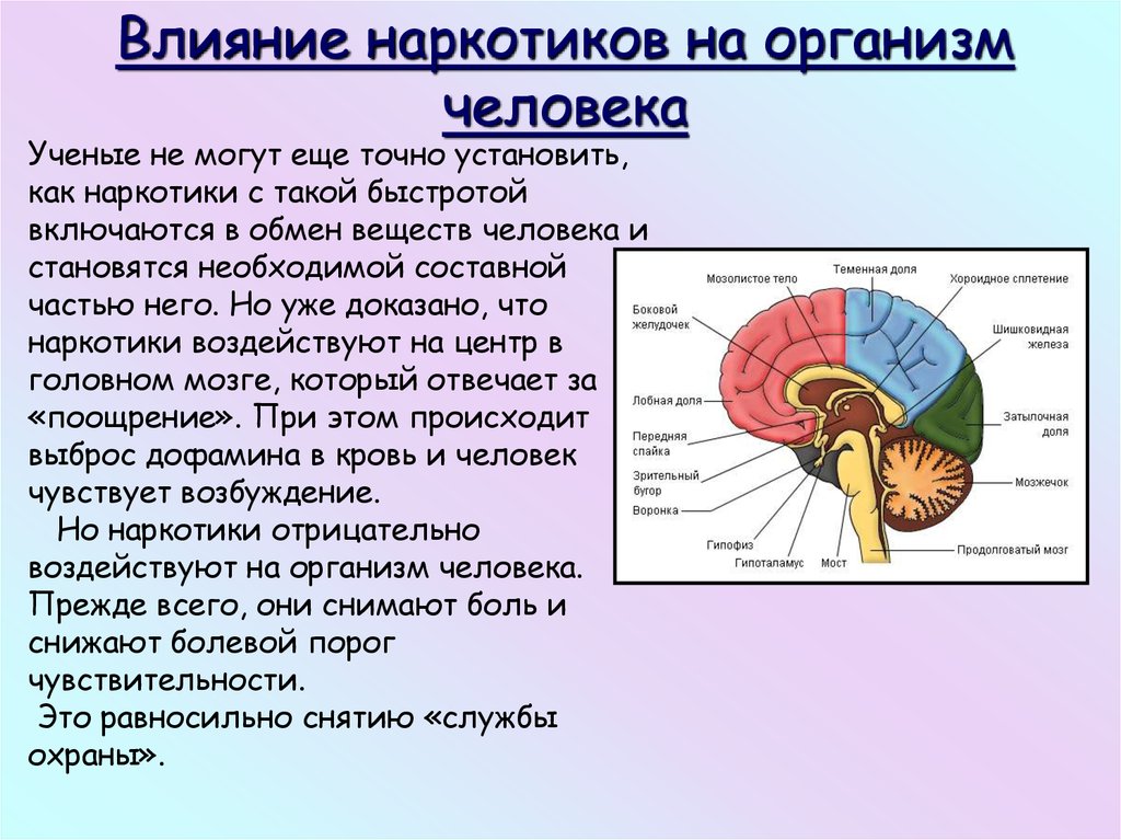 Вред наркогенных веществ 8 класс презентация