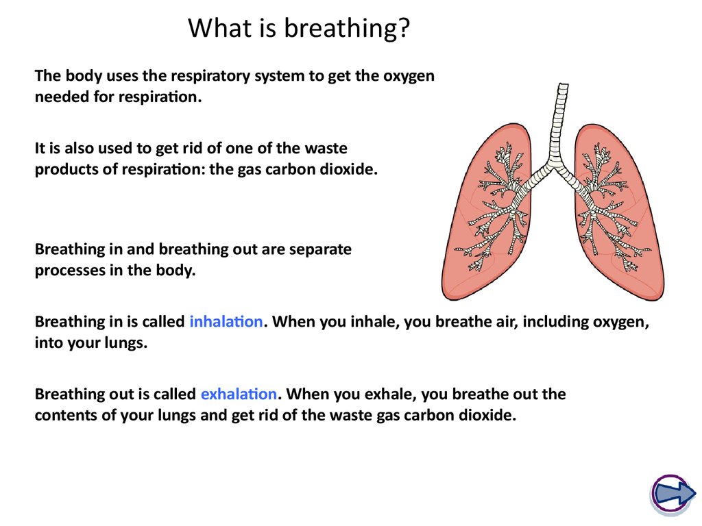 What is breathing?