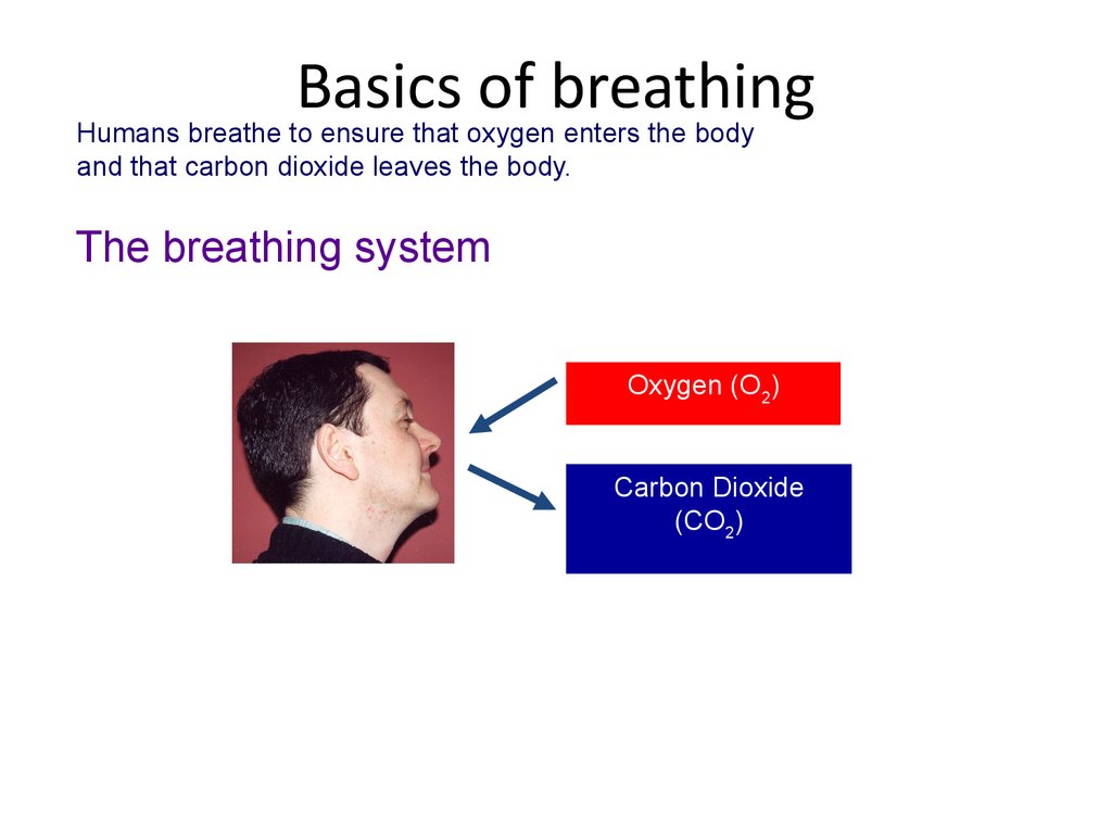 Basics of breathing