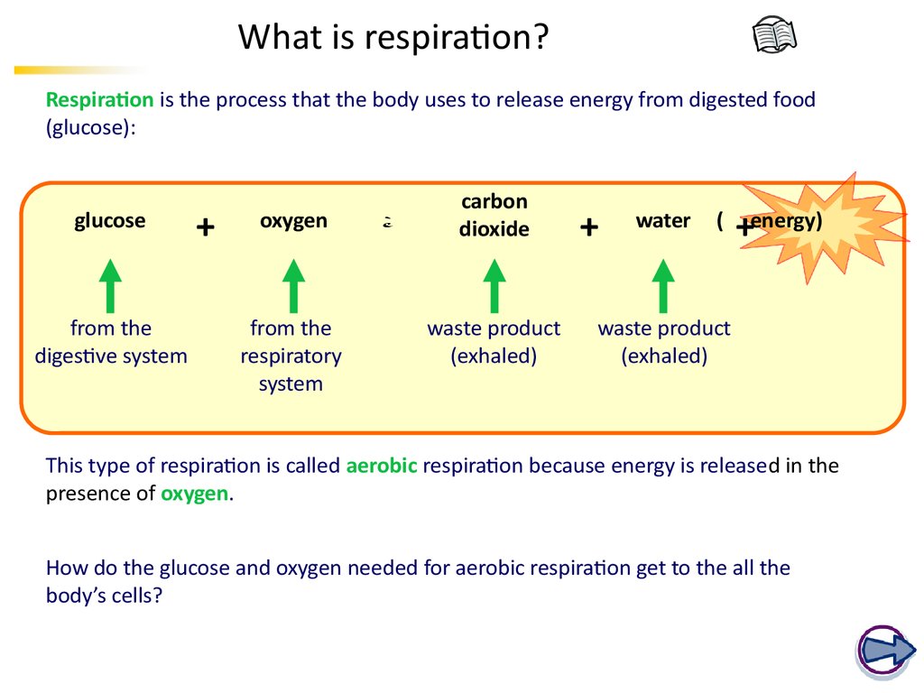 What is respiration?