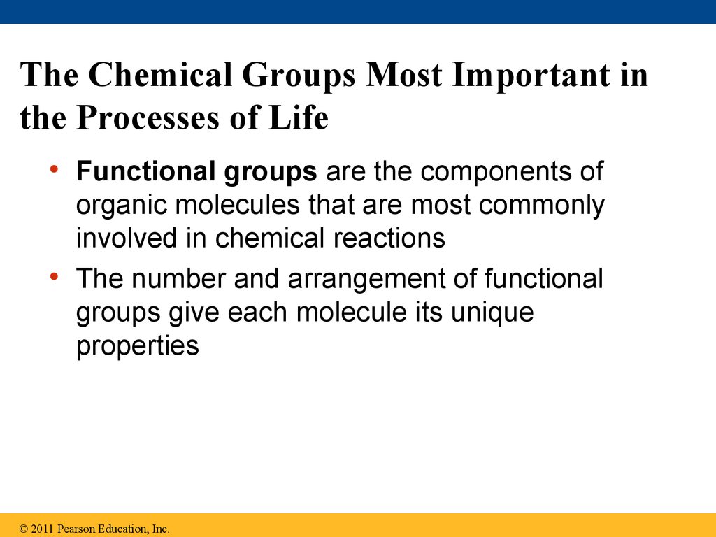 The Chemical Groups Most Important in the Processes of Life