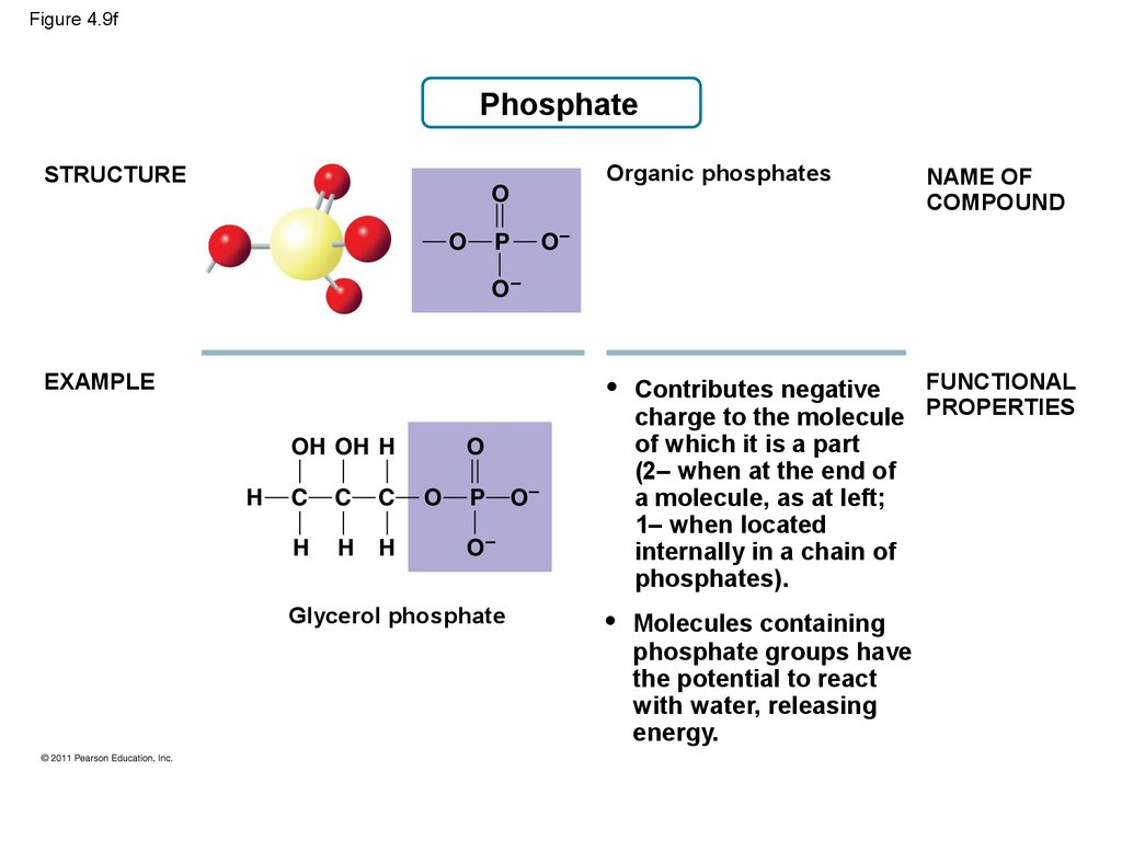 phosphate functional group example