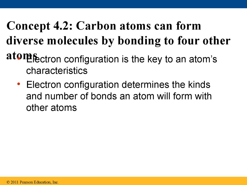 Concept 4.2: Carbon atoms can form diverse molecules by bonding to four other atoms