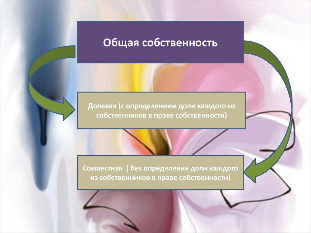 И общество 5 собственность и. Общая долевая и совместная собственность. Защита неимущественных прав.