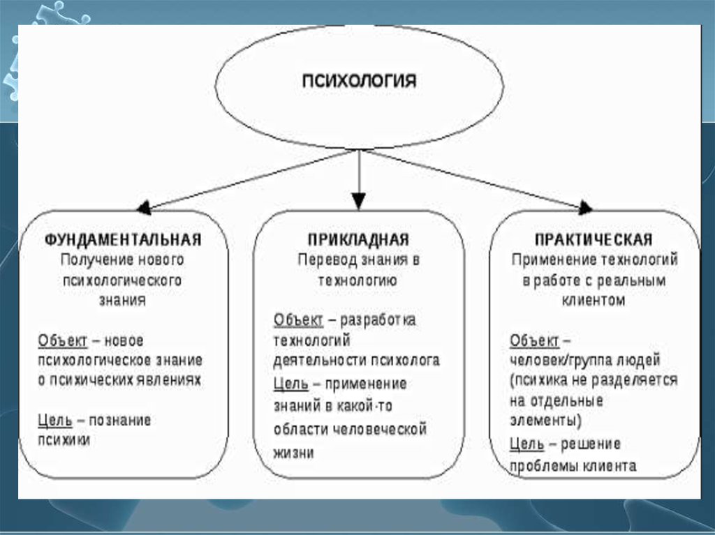 Схема соотношение между фундаментальными и прикладными исследованиями