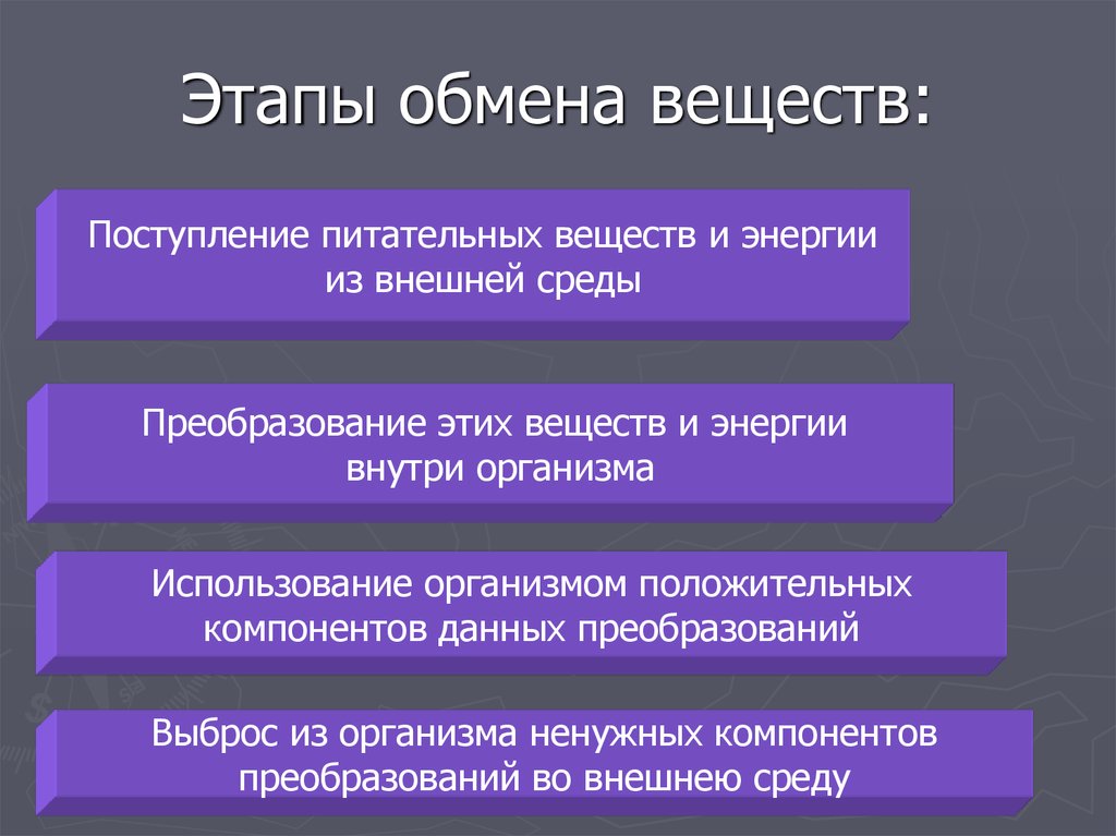 Понятие обмена веществ. Методы определения обмена веществ. Этапы обмена веществ. Этапы обмена веществ и энергии в организме. Методы изучения обмена веществ.