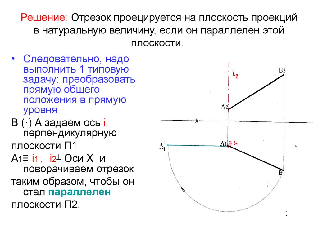 Плоскость перпендикулярные прямые и отрезки