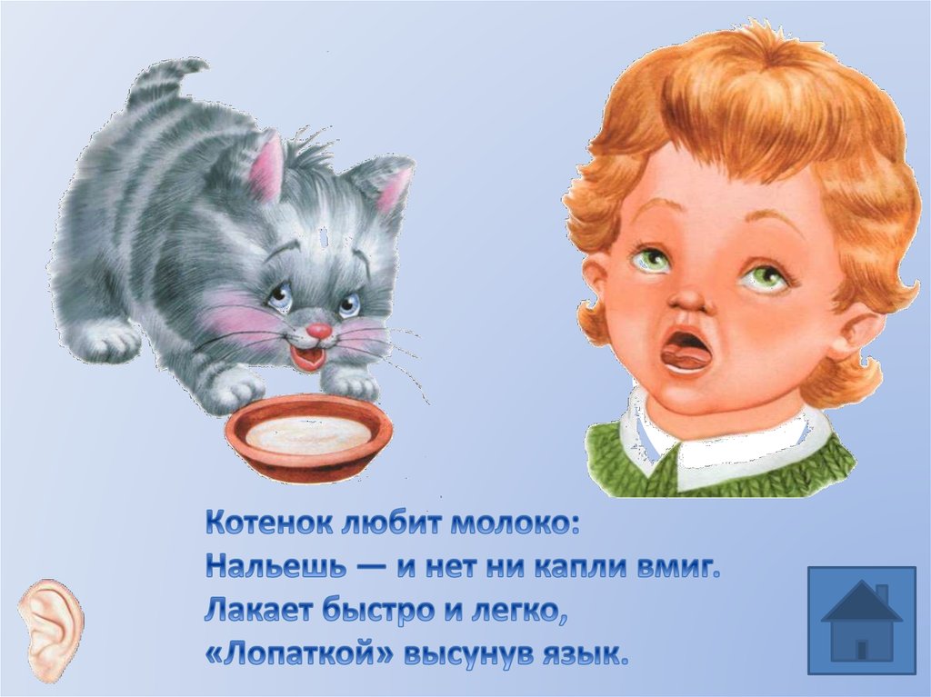 Котенок лакает молоко схема предложения