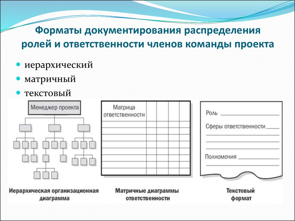 Состав участников проекта и распределение их обязанностей