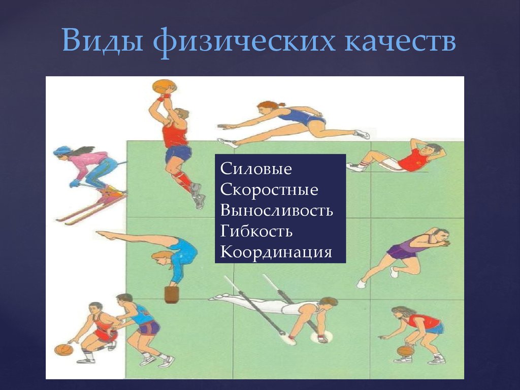 Физические качества гибкость выносливость. Виды физических качеств. Выносливость координация гибкость. Физические качества гибкость и координация. Физические качества схема.