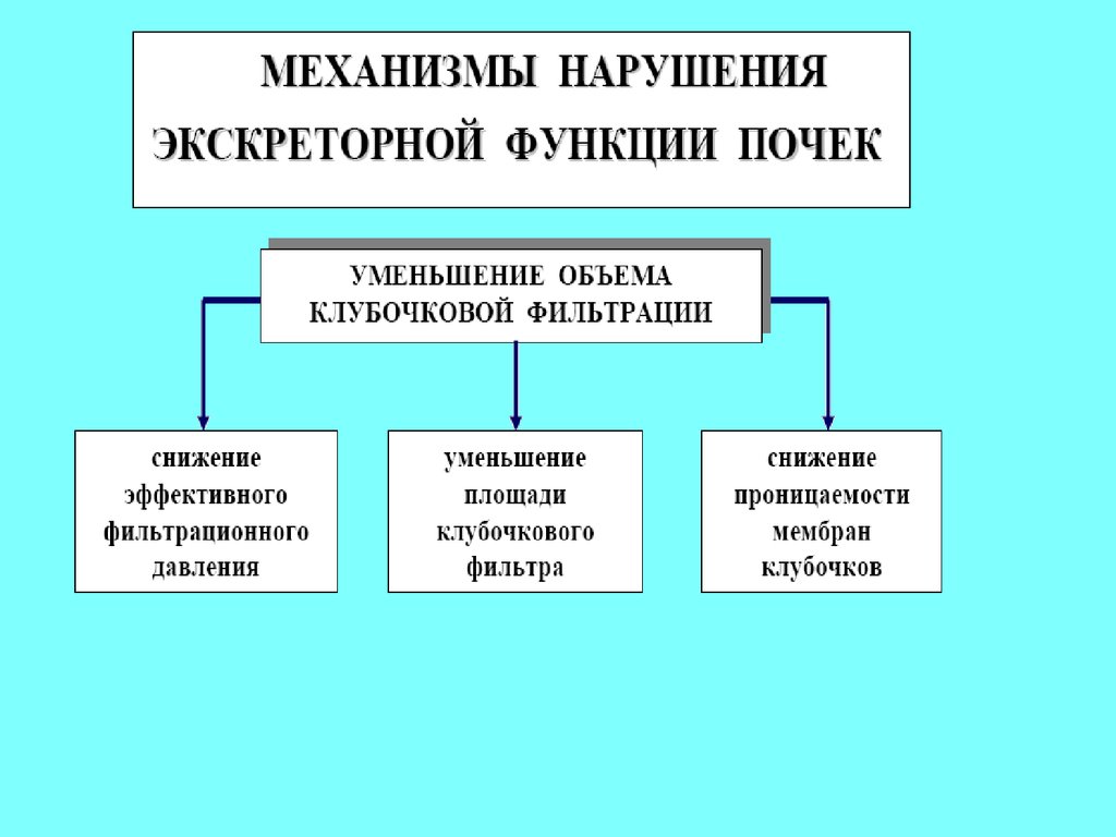 Нарушение функционирования. Механизм нарушения почечной фильтрации. Механизмы снижения клубочковой фильтрации. Нарушение клубочковой фильтрации патогенез. Механизм нарушения фильтрации в почках.