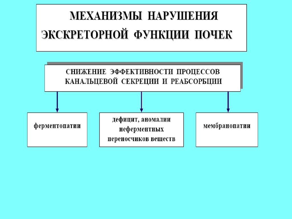 Нарушение функции почек. Механизмы нарушения функций почек. Основные механизмы нарушений экскреторной функции почек. Механизмы нарушения экскреторной функции почек. Нарушение выделительной функции почек.