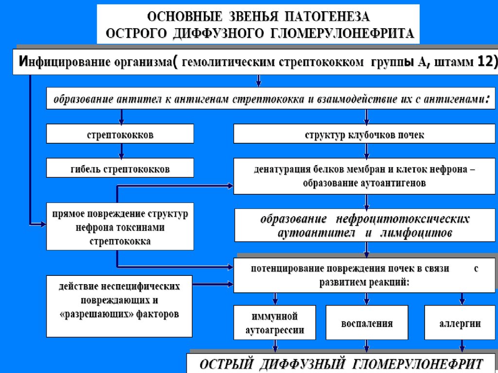 Основная причина гломерулонефрита тест