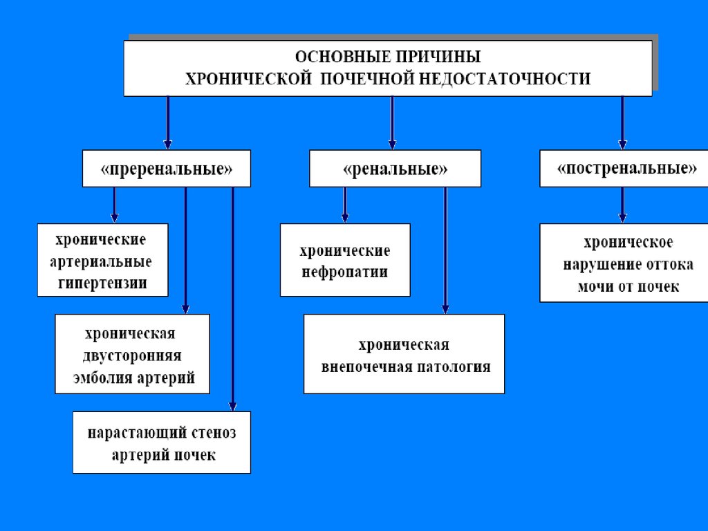 Хроническая почечная недостаточность причины. Основные причины почечной недостаточности. Хроническая почечная недостаточность факторы. Перечислите основные причины острой почечной недостаточности. Основные причины хронической почечной недостаточности.