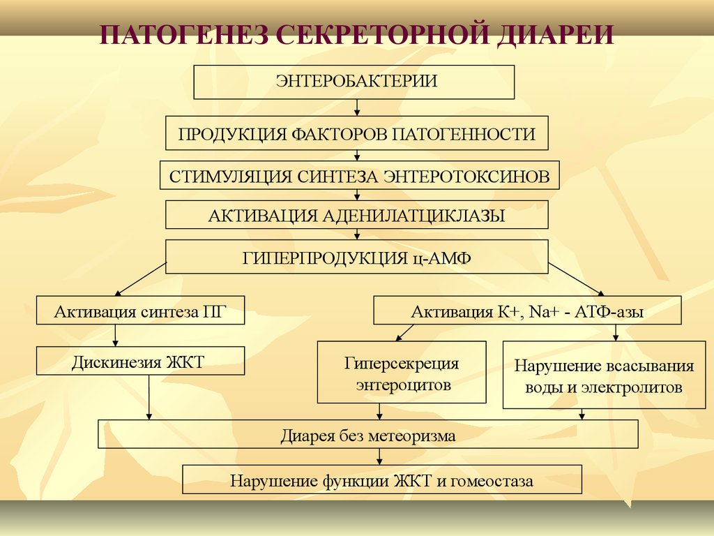 Механизмы диареи