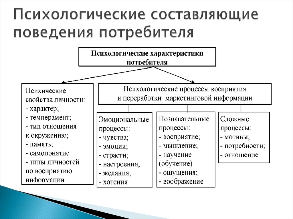 Маркетинговое поведение. Психологические составляющие обучения. Составляющая психики. Типы поведения потребителей по отношению к новому товару. Особенности поведения потребителей.