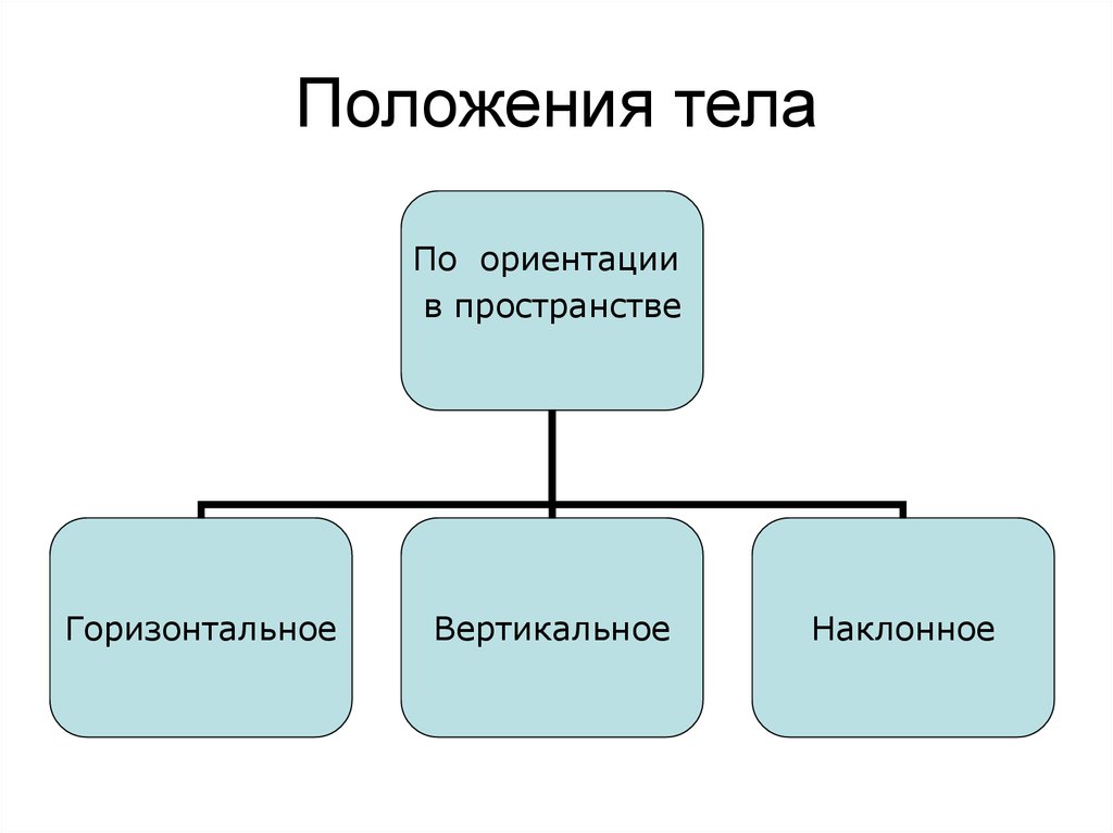 Основные виды аргументов презентация