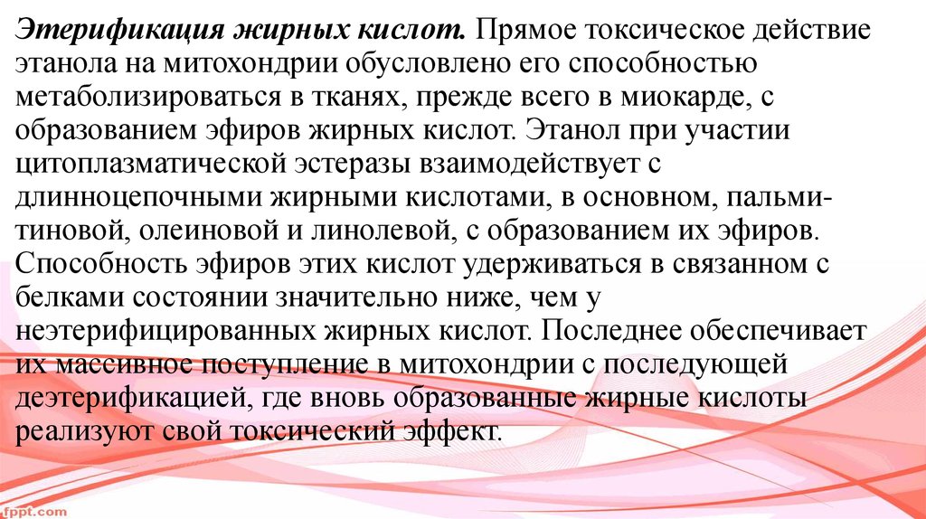 Токсическое действие. Токсическое действие этанола. Этерификация жирных кислот. Токсические эффекты этанола. Механизм токсического действия этанола.