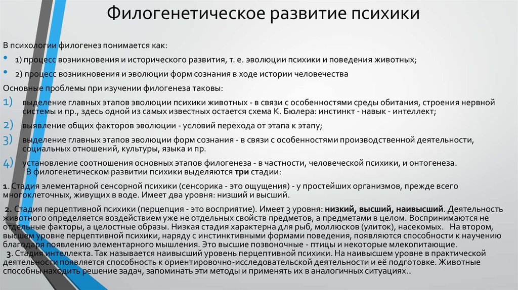 Концепция психологической защиты. Филогенетическое развитие психики. Развитие психики в филогенезе. Основные этапы развития психики. Этапы развития психики в филогенезе человека.