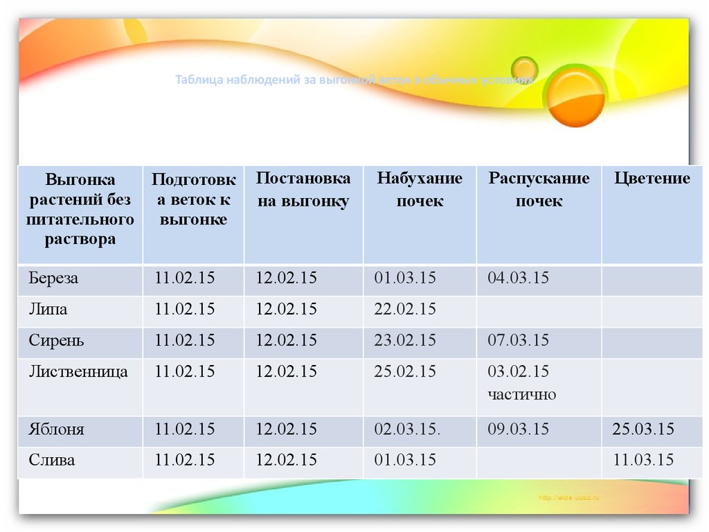 Презентации периоды работы смены