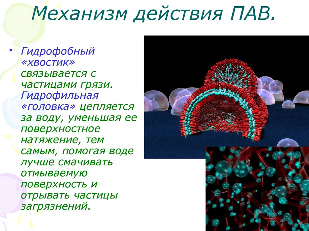 Пав презентация химия