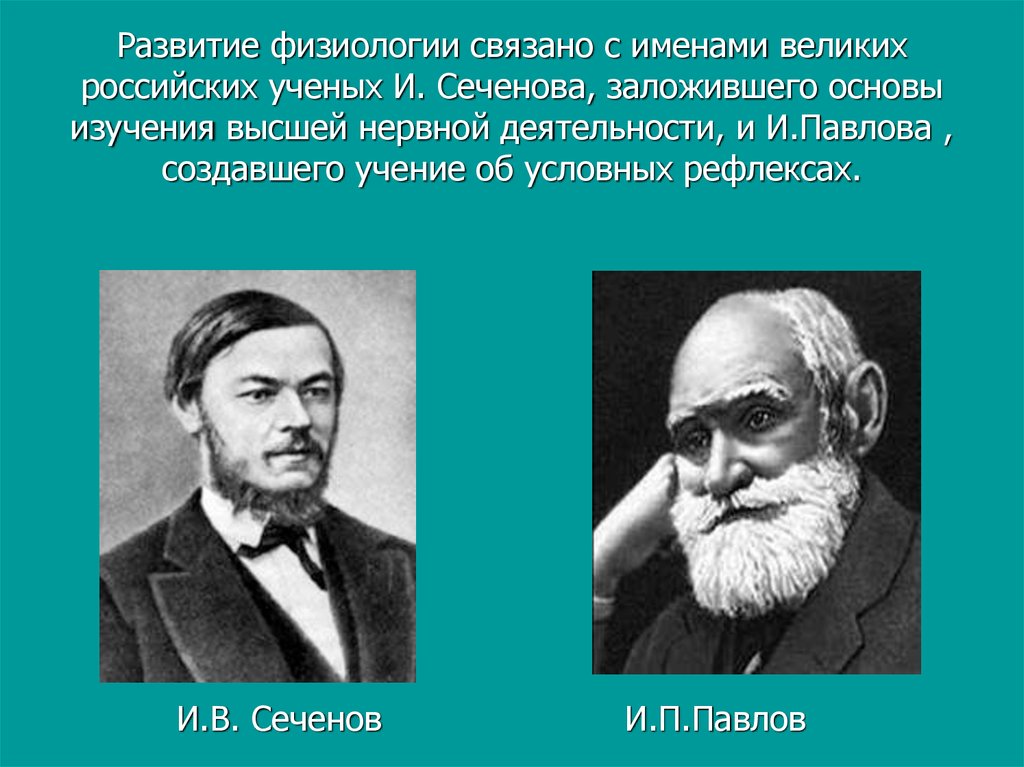Развитие физиологии связано с именами великих российских ученых И. Сеченова, заложившего основы изучения высшей нервной