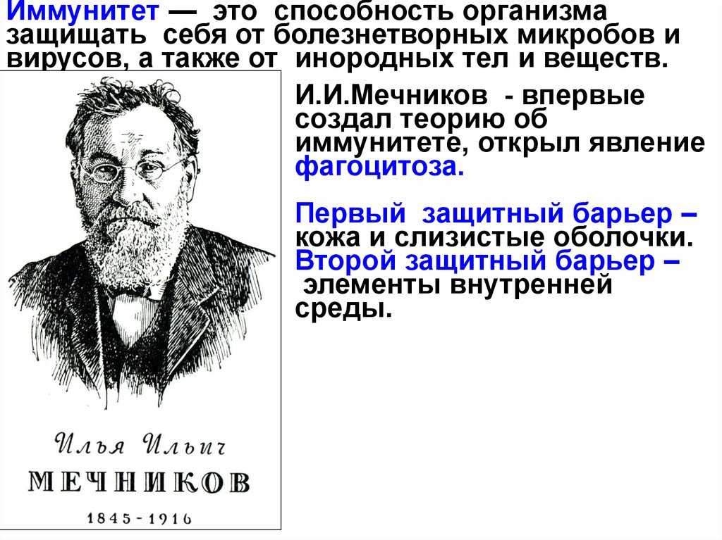 Какое явление открыл мечников. Иммунитет это способность организма защищать. Способность организма защищать себя от болезнетворных. Мечников создал теорию иммунитета. Мечников открыл явление фагоцитоза.