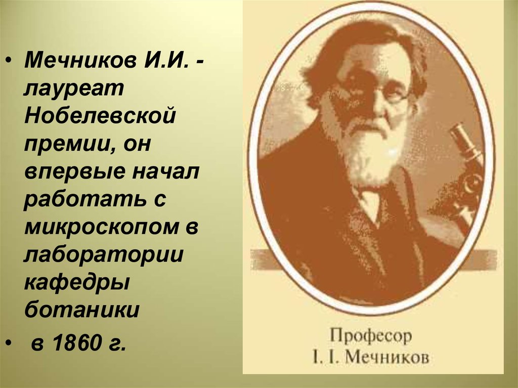 Мечников высказывания