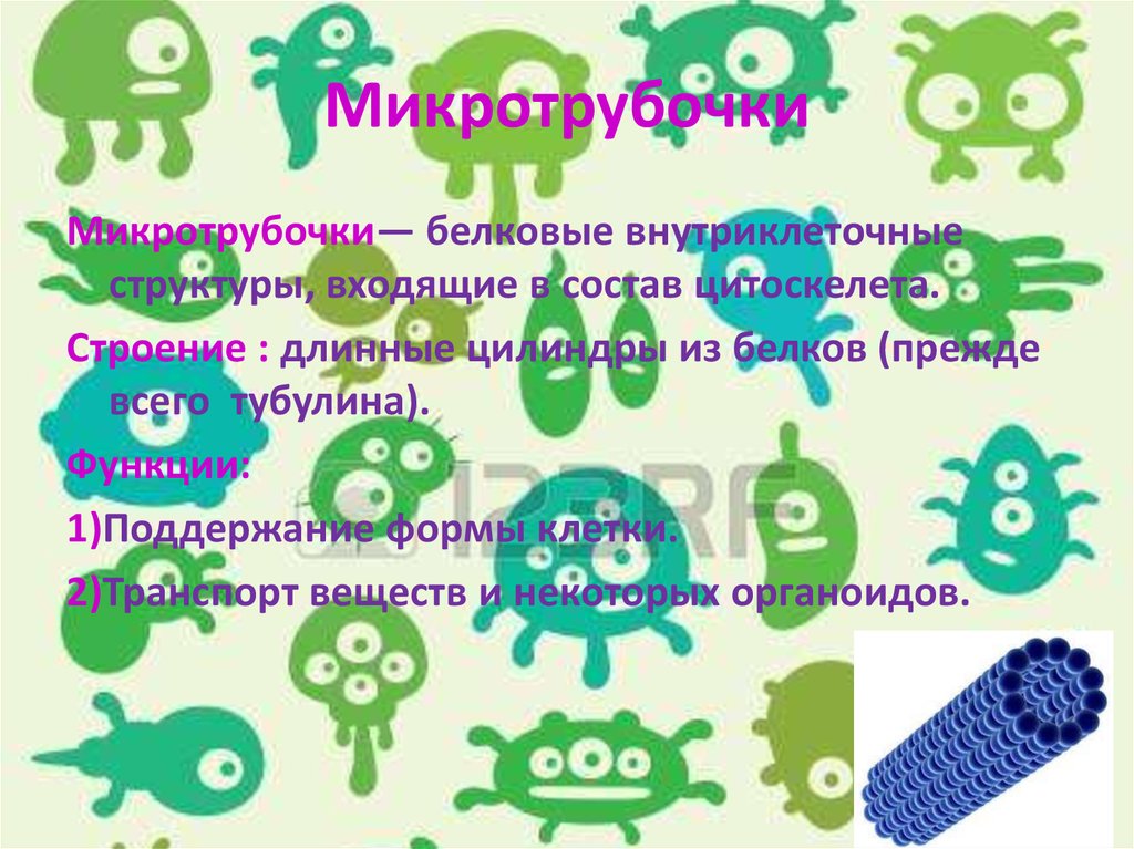 Микротрубочки