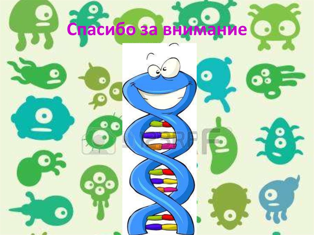 Спасибо за внимание