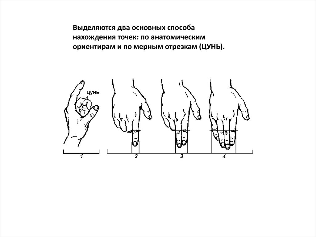 Точка выделить. Цунь мера длины. Способы нахождения точек. Метод выделенных точек. Чему равен 1 цунь в сантиметрах.