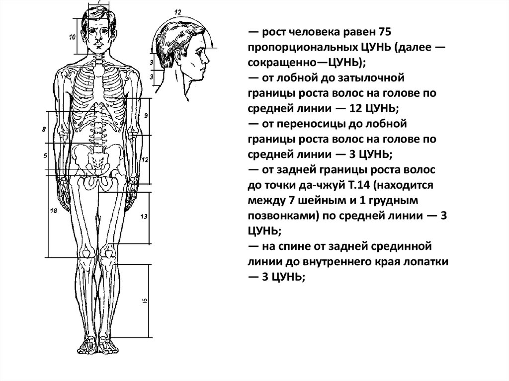 Внутренние линии