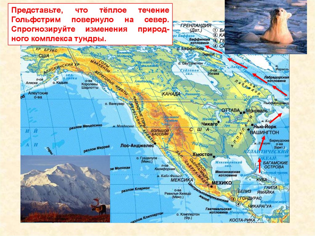 Какие природные зоны есть в северной америке. Ревилья Хихедо острова на карте Северной Америки. Алеутский хребет на карте Северной Америки. Течения Северной Америки. Течения Северной Америки на карте.