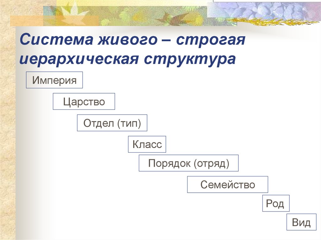 Иерархически организованная система живой материи