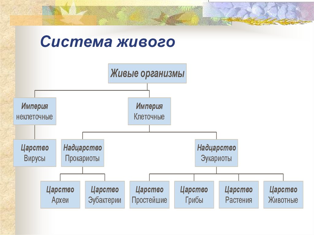 Формы живых организмов. Современная систематика органического мира схема. Таблица классификация живых организмов биология. Современная система органического мира таблица. Классификация живых организмов схема.