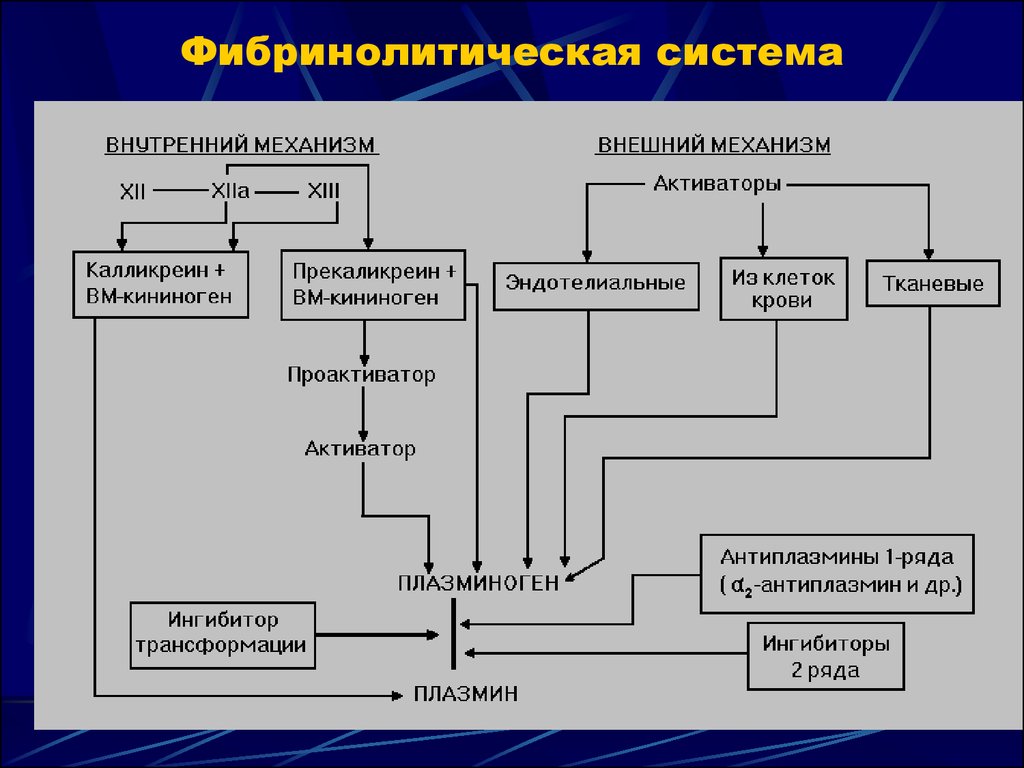 Схема фибринолиза физиология