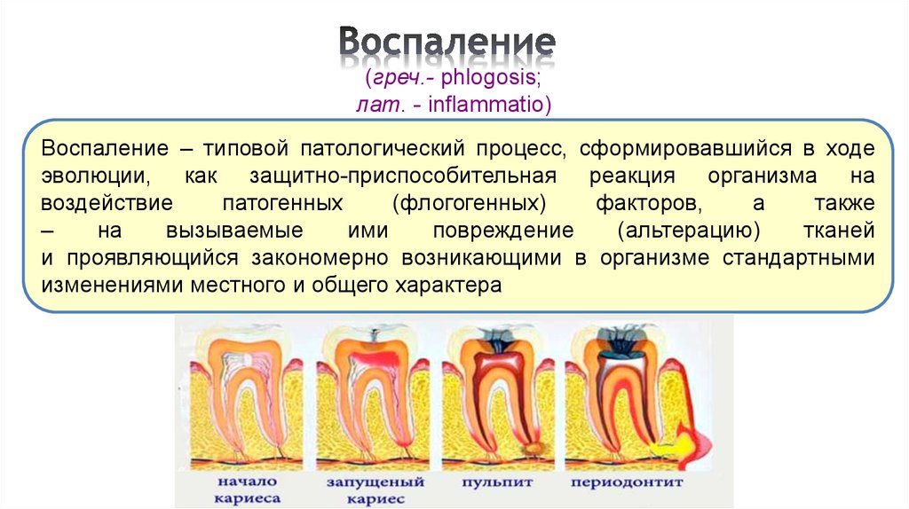 Воспаление патофизиология презентация