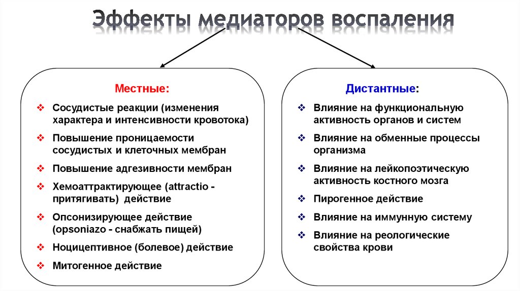 Медиаторы воспаления вызывают схема