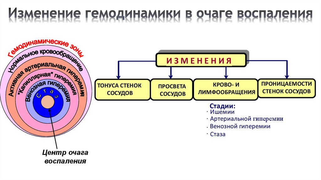 Воспаление презентация по патофизиологии