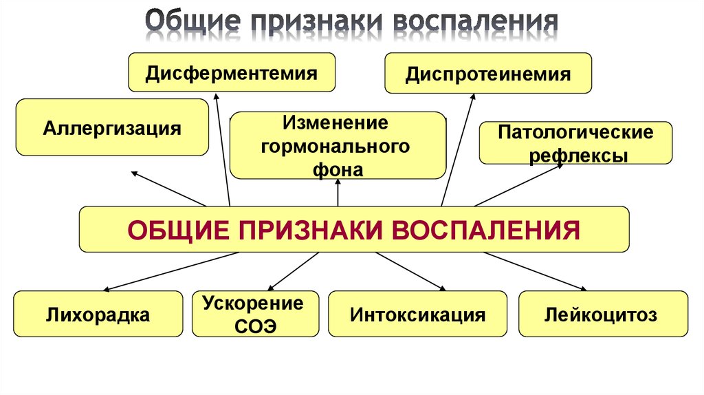 Общие проявления. Общие проявления воспаления патофизиология. Схема механизмов развития местных проявлений воспаления. Схема динамики воспалительного процесса. Общие признаки воспаления.