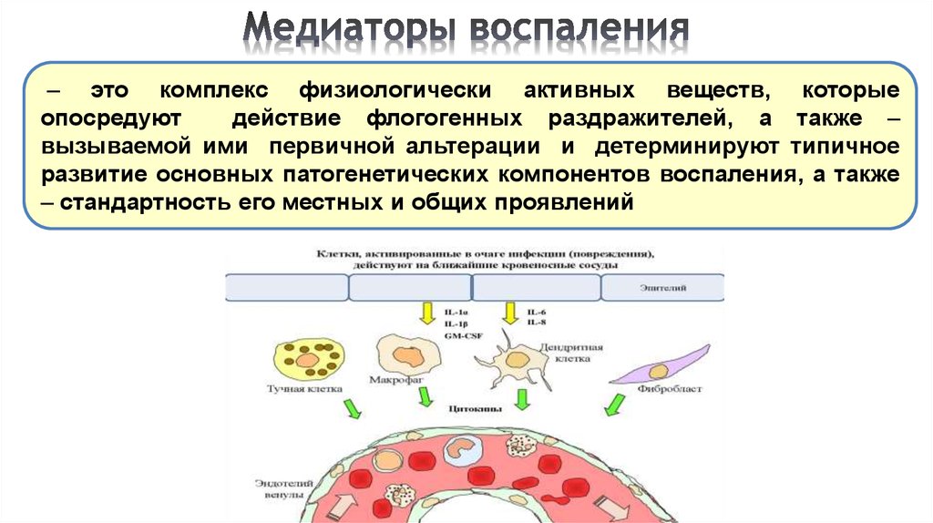 Виды воспаления патофизиология. Схема плазменных медиаторов воспаления. Схема воспаления медиаторы воспаления. Медиаторы воспаления механизм действия. Схема действия медиаторов воспаления.