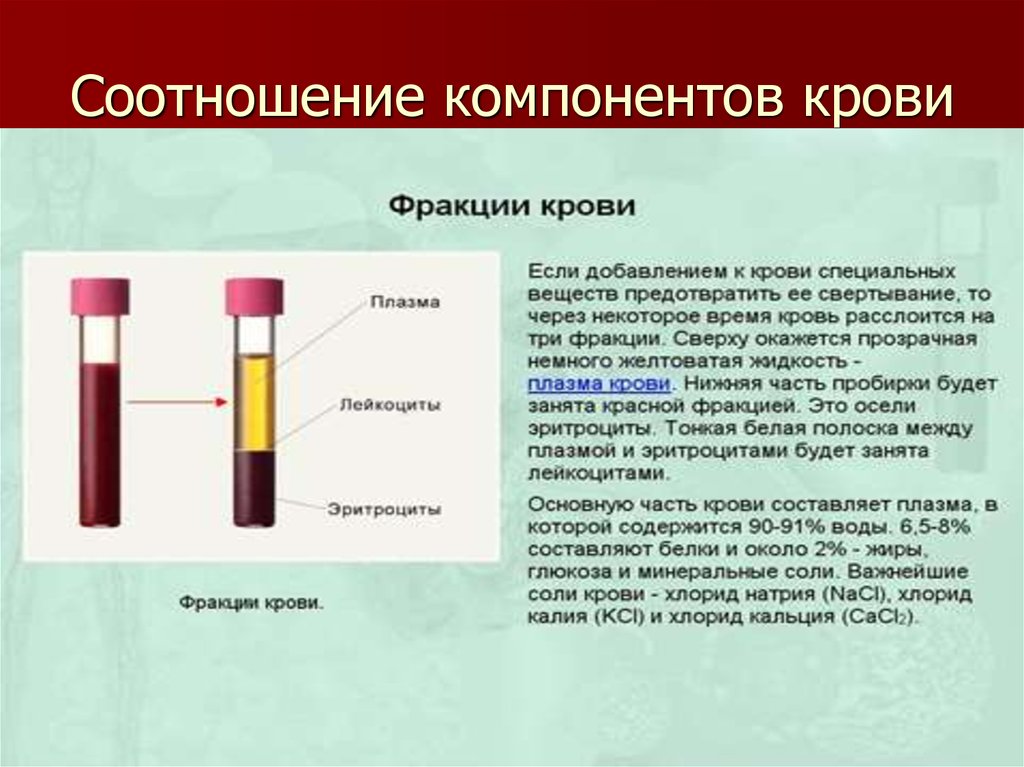 Тест элемента крови. Соотношение компонентов крови. Компоненты сыворотки крови. Сыворотка крови. Фракции крови.