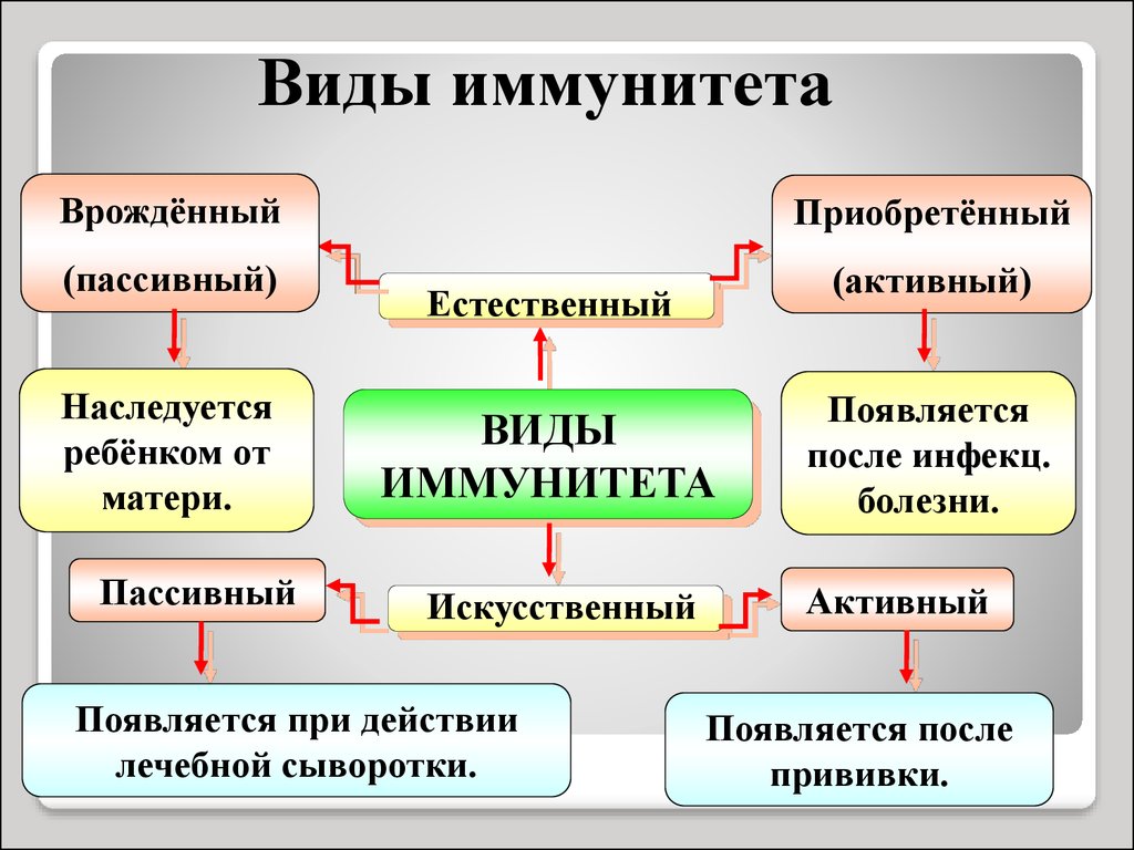 Естественный пассивный иммунитет. Пассивный приобретенный иммунитет. Виды иммунитета врожденный и приобретенный. Лечебная сыворотка вид иммунитета. Активный и пассивный иммунитет.