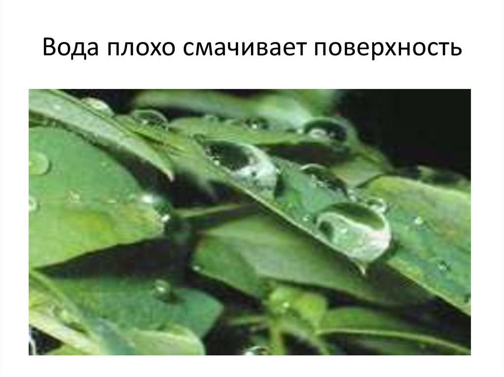 Вода плохо смачивает поверхность
