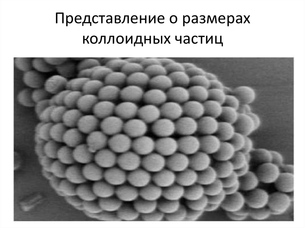 Размер частиц коллоидных систем