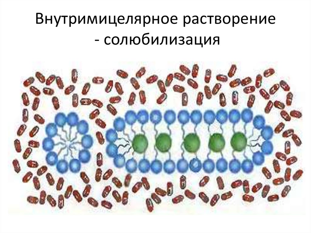 Внутримицелярное растворение - солюбилизация