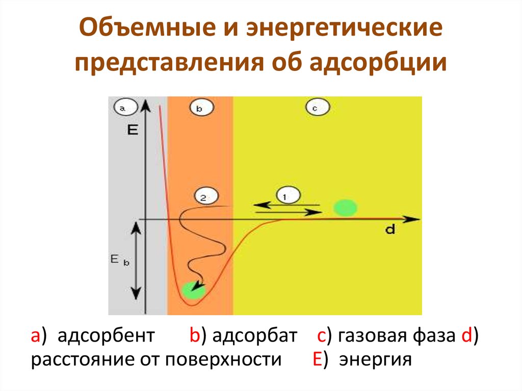 Правая часть схемы адсорбции