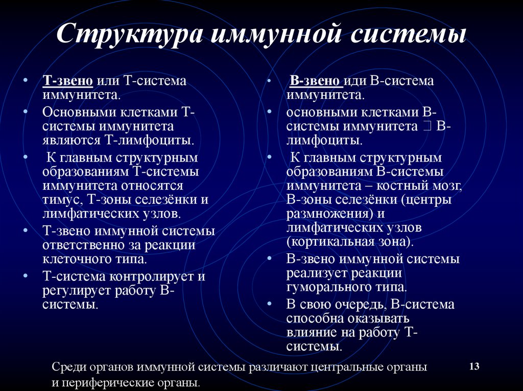 Система б. Функции т системы иммунитета. Структура и функции иммунной системы. Структура именной системы. Основные звенья иммунной системы.