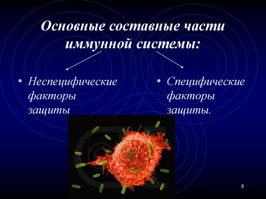 Являются важной составной частью живого организма. Факторы иммунной защиты. Специфические и неспецифические факторы защиты. Специфические и неспецифические факторы защиты организма. Специфические факторы защиты иммунитета.