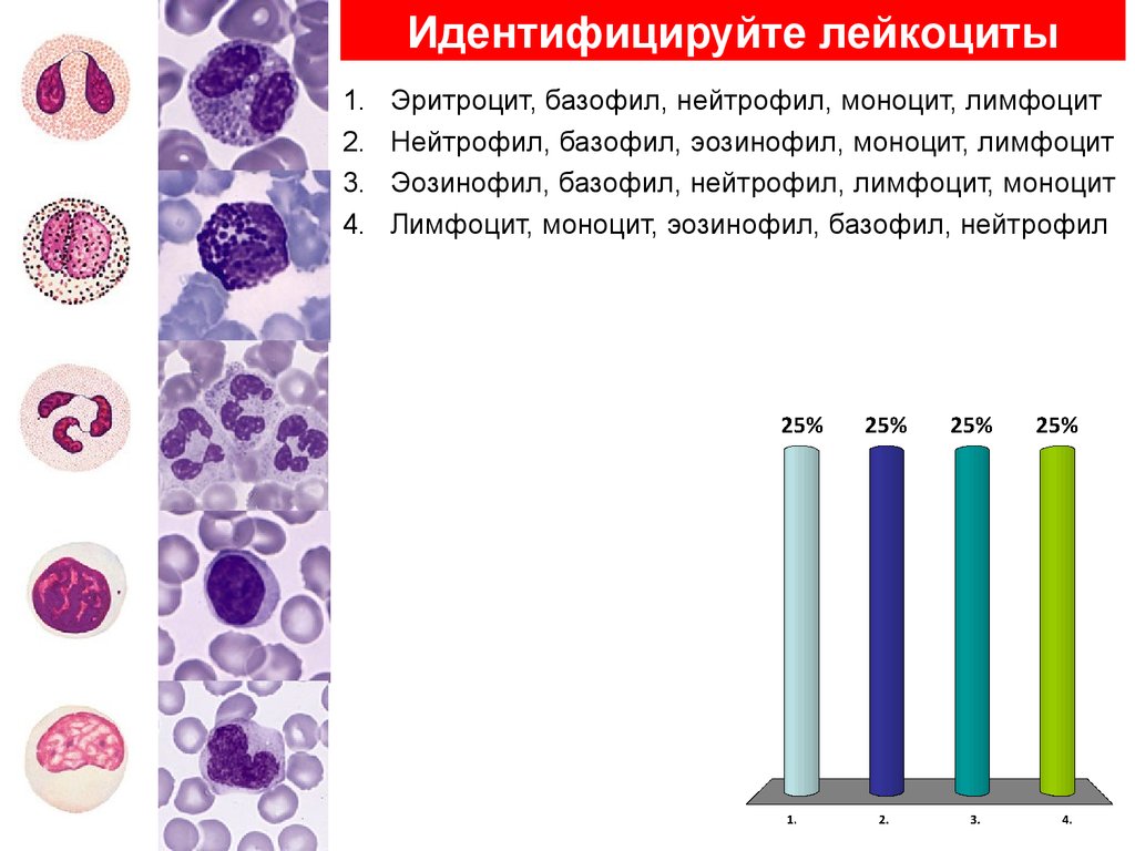 Клинический анализ крови презентация